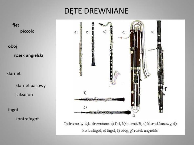 źródłem Dźwięku W Instrumentach Perkusyjnych Są Drgania Całego